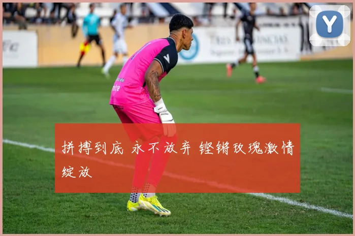 拼搏到底 永不放弃 铿锵玫瑰激情绽放